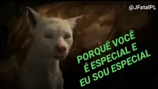 VIDEO PARA STATUS: PORQUE VOCE NASCEU ERRADO , (mogli entre dois mundos)