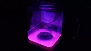 Glow Stick Experiment #1