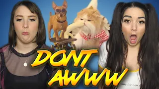 Try not to SMILE or AWW Challenge  | 5