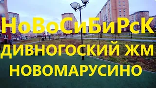 Димитровский мост Дивногорский ЖМ Большая Юности Романтиков Новомарусино Нарымская Новосибирск 154