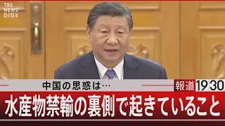 中国の思惑は… 水産物禁輸の裏側で起きていること【9月8日（金）#報道1930】| TBS NEWS DIG