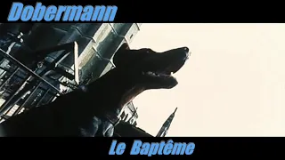 Dobermann - Le Baptême / GAMER CAGOULER