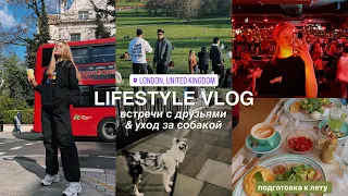 lifestyle vlog: моя жизнь | результаты сессии, встречи с друзьями, уход за собакой