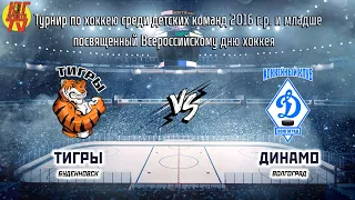 Тигры (Буденновск) — Динамо (Волгоград) Турнир посвященный Всероссийскому дню хоккея