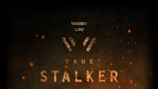 True Stalker #20 "Глава седьмая "В чёрной заводи колодца",Журавлёв,чертовщина на Янтаре"