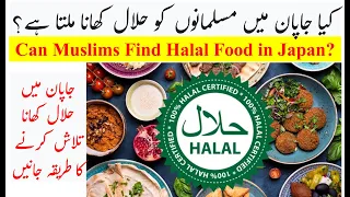 What Kind of Halal Food in Japan can Muslims Eat? | Being a Muslim, How to Find Halal Food in Japan?