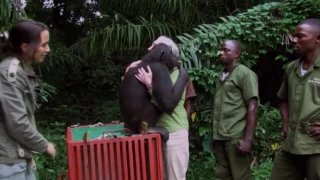 Dr Jane Goodall says her work will only end when she dies | Newshub