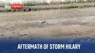 Aerial footage shows aftermath of Storm Hilary in California