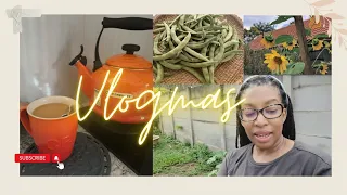 Vlogmas Episode 5 Making tea with my Le Creuset Kettle, View my neighbour's garden