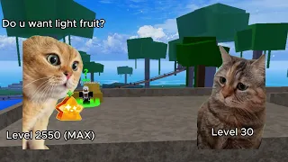 Blox Fruits First Sea But It's Cats.