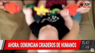 DENUNCIAN CRIADEROS DE HUMANOS: ¿Hay una "fábrica" de bebés en Córdoba?