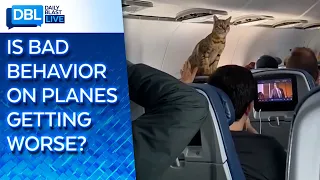 Pets on Planes: First-Class Cat Gets Loose During Flight