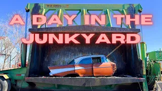 A Day in the Life at the JUNKYARD!