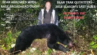 BLACK BEAR DESTROYED BY RAGE HYPODERMIC ON CANADA ARCHERY HUNT