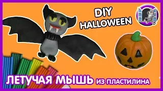 Поделки на Хэллоуин - ЛЕТУЧАЯ МЫШЬ и ТЫКВА из пластилина  🎃 DIY Halloween