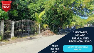 (V244) 3 HECTARES, MANGO FARM, ALONG PROVINCIAL ROAD, PRICE 300 PER SQM, LOCATION PANIQUI TARLAC