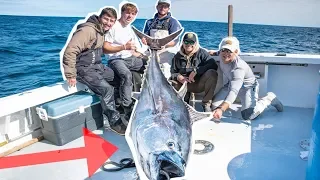 Catching WORLDS Most EXPENSIVE Fish!! (Catch and Sell 400 POUND Blue Fin TUNA)
