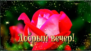 Добрый Вам вечер, друзья дорогие! Спокойной ночи! Добрых снов!  Красивая музыкальны открытка!⭐🌙.