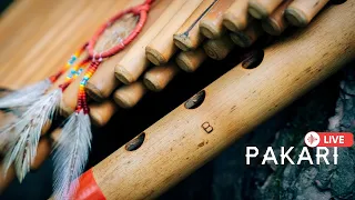 Pakari- Music Non-Stop #3 (from live stream)