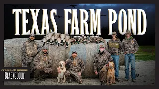 DUCK HUNTING Texas Farm Pond | Mixed Bag | Black Cloud