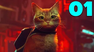 STRAY - Gameplay Part 1 - THE CUTEST CAT ADVENTURE (PS5)