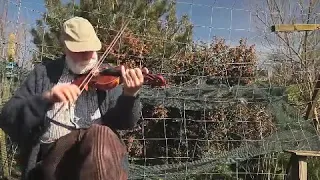 The Lark in the Clear Air plus Slip Jig & Reel in my garden.