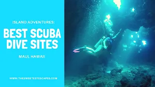 Best Scuba Dive Sites in Maui, Hawaii