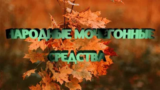 Народные мочегонные средства