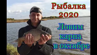 ЛОВИМ КАРПА в ОКТЯБРЕ 2020/ РЫБАЛКА на ПРУЖИНУ / карп порадовал часть 2