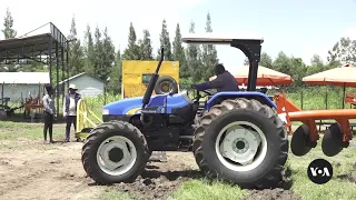 Smallholding farmers in Kenya hop on tractors, see profits rise