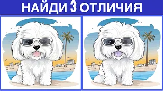 НАЙДИ ОТЛИЧИЯ! РЕАЛЬНО Крутой тест!                        Find the difference.