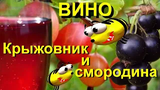 🍷 Купаж - Вино  из крыжовника и смородины🍷