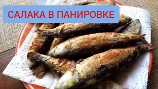 Жареная салака в панировке. Готовим на сковороде.