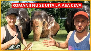 EXPERIENTA UNICA pentru PARINTI in THAILANDA!