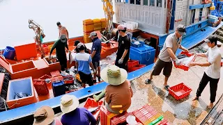 The completion of a deep sea fishing trip | agricultural knowledge