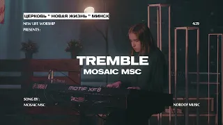 Mosaic MSC - Tremble | cover by NOROOF music  (на русском)