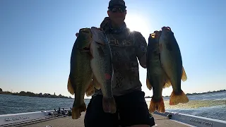 Punching the California Delta  This is how you catch big bass with the Punch part 2