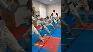 Гьяку Цуки Gyaku Tsuki в каратэ #shorts #short #karate #каратэ #wkf