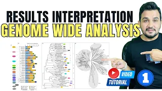 Interpretation of Genome Wide Analysis | Figures and Results | GWA Tutorial 1