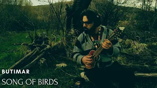 Butimar - Song Of Birds (Live Session)