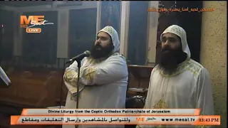coptic -Arabic orthodox chant (Have mercy on us)