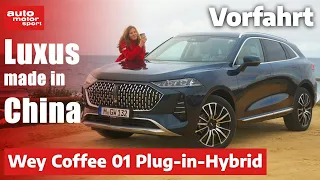 WEY Coffee 01: Unschlagbare Reichweite zum unschlagbaren Preis - Fahrbericht | auto motor und sport