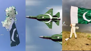 14 August 2021 Independence Day Pakistan | Tik Tok Compilation