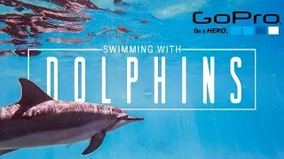 GoPro EPIC SWIMMING WITH DOLPHINS