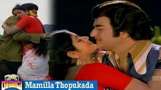 Driver Ramudu Movie | Superhit Video Song | Mamilla Thopukada || NTR,Jayasudha || Telugu Full Movies