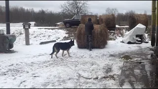 300 кг в одни руки/ На словах все просто.