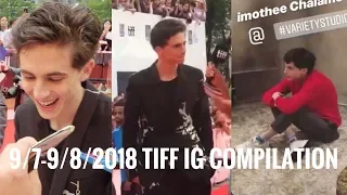 Timothée Chalamet TIFF 2018 Instagram stories & Twitter compilation 9/7-8/2018