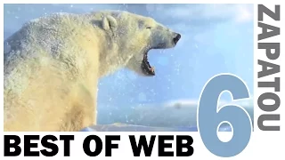 Best of Web 6 - HD - Zapatou