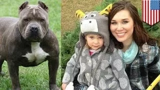 Женщина откусила питбулю ухо, спасая 2-летнюю дочь