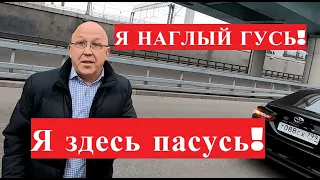 Наглые гуси с улицы Уткина! (трейлер)